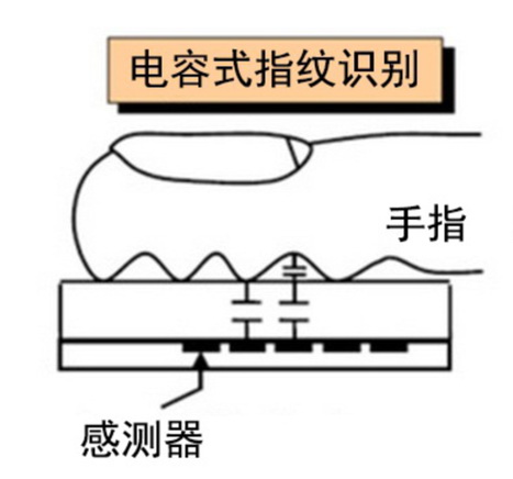 qmh球盟会
